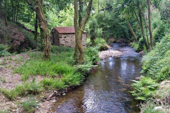 Holiday home Paradise Property,ideal Ferias Ou Lua De Mel Albergaria-a-Velha
