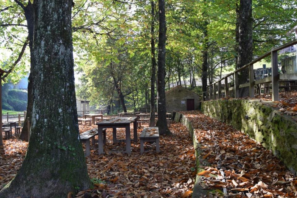 Holiday home Paradise Property,ideal Ferias Ou Lua De Mel