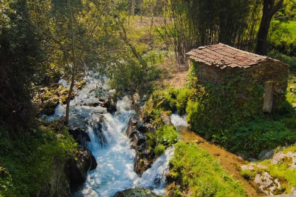 Holiday home Paradise Property,ideal Ferias Ou Lua De Mel *