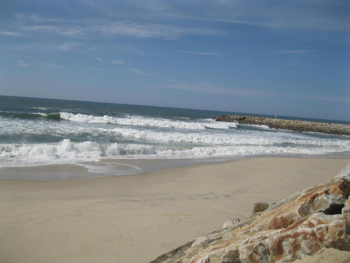 Holiday home Paradise Property,ideal Ferias Ou Lua De Mel Albergaria-a-Velha